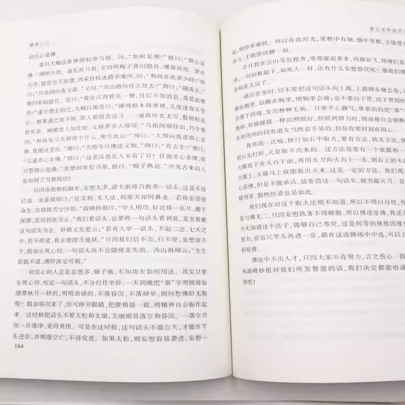 禅修入门虚云老和尚/禅修方法参禅戒律学纲要禅定入门圣严法师教禅坐讲佛经禅宗入门禅者的初心禅的智慧学佛入门书籍-图2