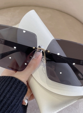 茶色墨镜女2025年新款高级感ins