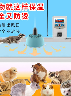 暖风恒温箱宠物加热取暖灯泡