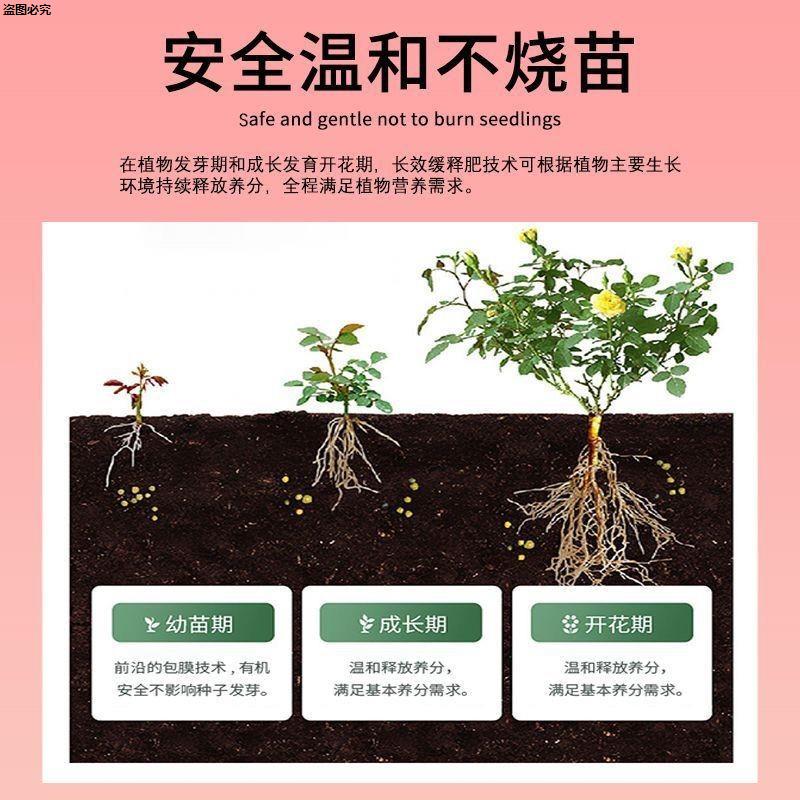 植物营养缓释片肥料氮磷钾种花养花肥家用果蔬盆栽花卉通用型精华 - 图1