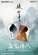 Wu Liu Bufan goes to Shanhai Official Film and Television Collection Card