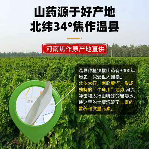 正宗怀山药干片淮山药干打豆浆熬粥焦作温县垆土铁棍怀山药干片 - 图2