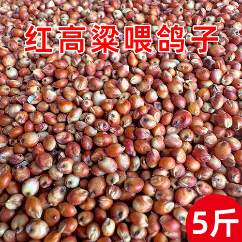 红高粱喂鸽子粮食去壳带皮鸟食信鸽观赏鸽肉鸽幼鸽成鸽粮饲料 - 图1