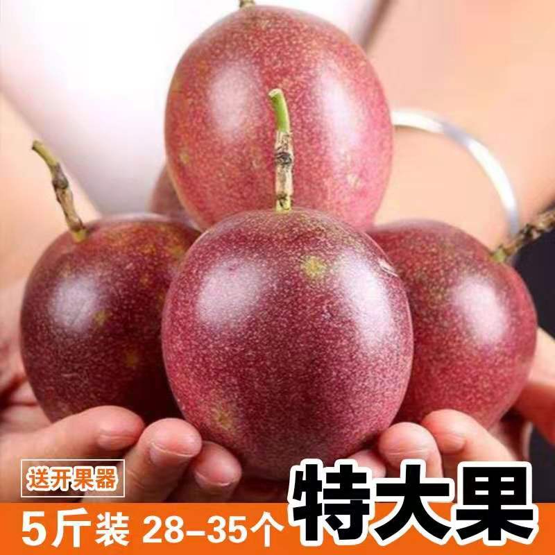果不让旗舰店百香果新鲜包邮现摘5斤特级大果一点甜西番莲原浆鸡蛋果云南水果0