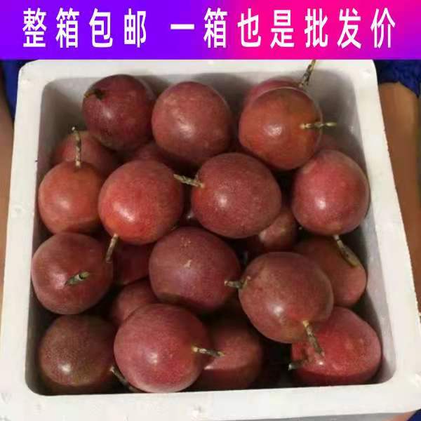 新鲜包邮现摘特级大果百香果图片_2