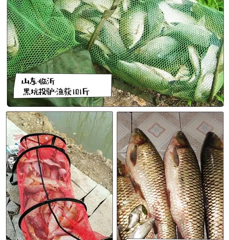 十全能香十全能腥三体鱼饵水库黑坑鲫鲤三体全套饵料开口小药窝料-图2