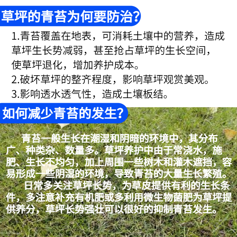 草坪褐斑除青苔消除剂 莱恩坪安锦御葆打杀苔藓药 草皮杀菌剂农药 - 图1