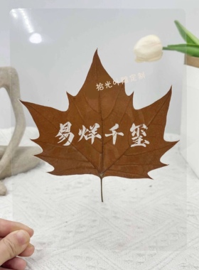 儿童节创意叶雕古诗励志文艺摆件