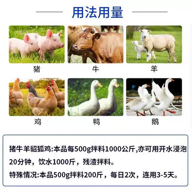 金蟾咳喘康兽用猪牛羊禽鸡鸭鹅止咳化痰清肺平喘呼吸道麻杏石甘散 - 图2