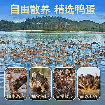 臻选礼盒旭日禾草灰熟咸鸭蛋12枚*70g[3元优惠券]-寻折猪