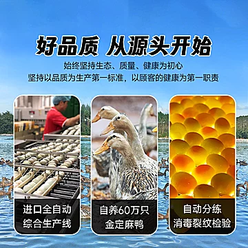 臻选旭日松花皮蛋无铅工艺12枚*70g[3元优惠券]-寻折猪