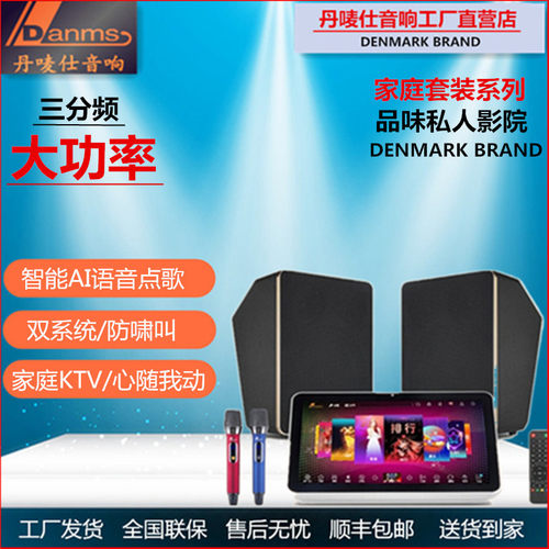 丹唛仕户外链接电源家庭KTV音响套装点歌机K歌卡拉ok影院音箱全套 - 图2