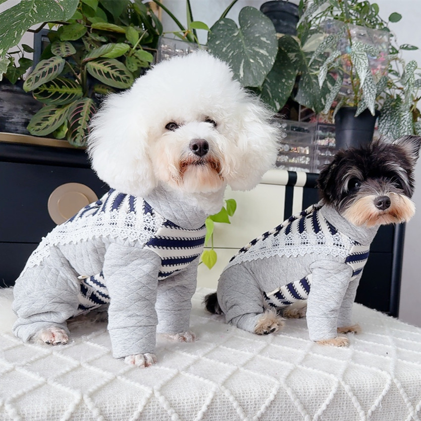 安班公母狗犬秋冬夹棉中厚保暖包肚四脚衣泰迪比熊双排扣全棉牵引,淘宝优惠券,粉丝福利购,淘宝优惠卷