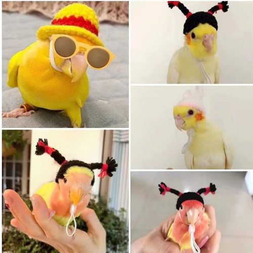 虎皮玄凤牡丹鹦鹉鸟戴的帽子宠物毛线钩针针织小帽子头饰品头套 - 图2