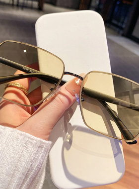 大框尼龙偏光防紫外线墨镜女