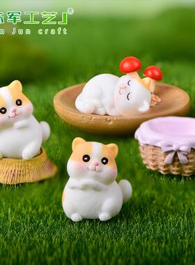 花纹橘猫系列微景观园艺造景配件