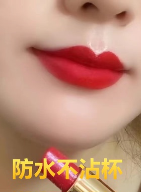 玫瑰红色口红不掉色不沾杯不脱色雾面防水持久想你玫瑰火龙果色女