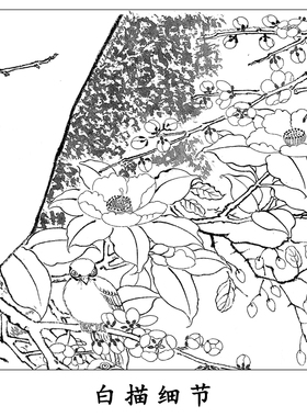 吕纪花鸟工笔画白描底稿《四季花鸟图》临摹勾线高清打印稿MD13