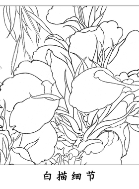 俞致贞工笔花鸟白描底稿《柳丝美人蕉》临摹高清打印线稿ZZ04