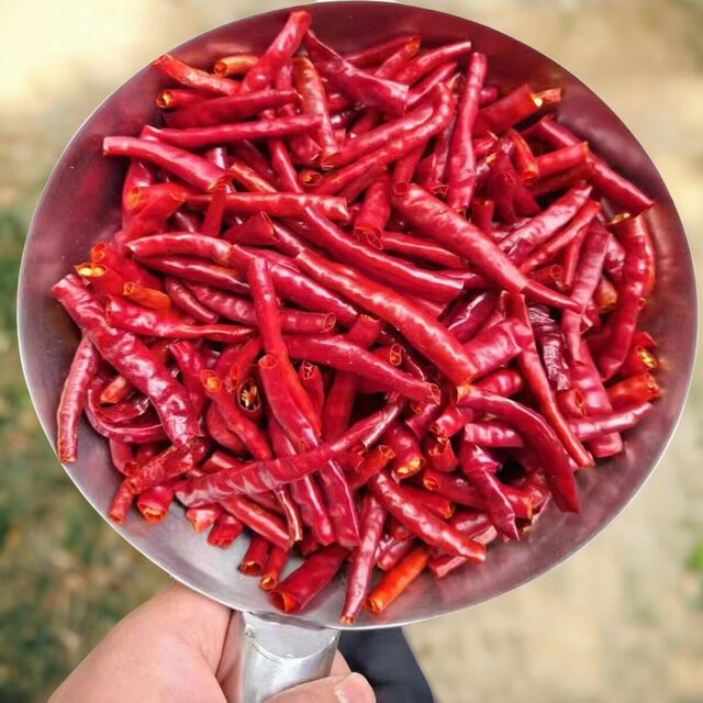 Yunnan Qiubei Dried Chili Pepper Festival Stir-fried Catering