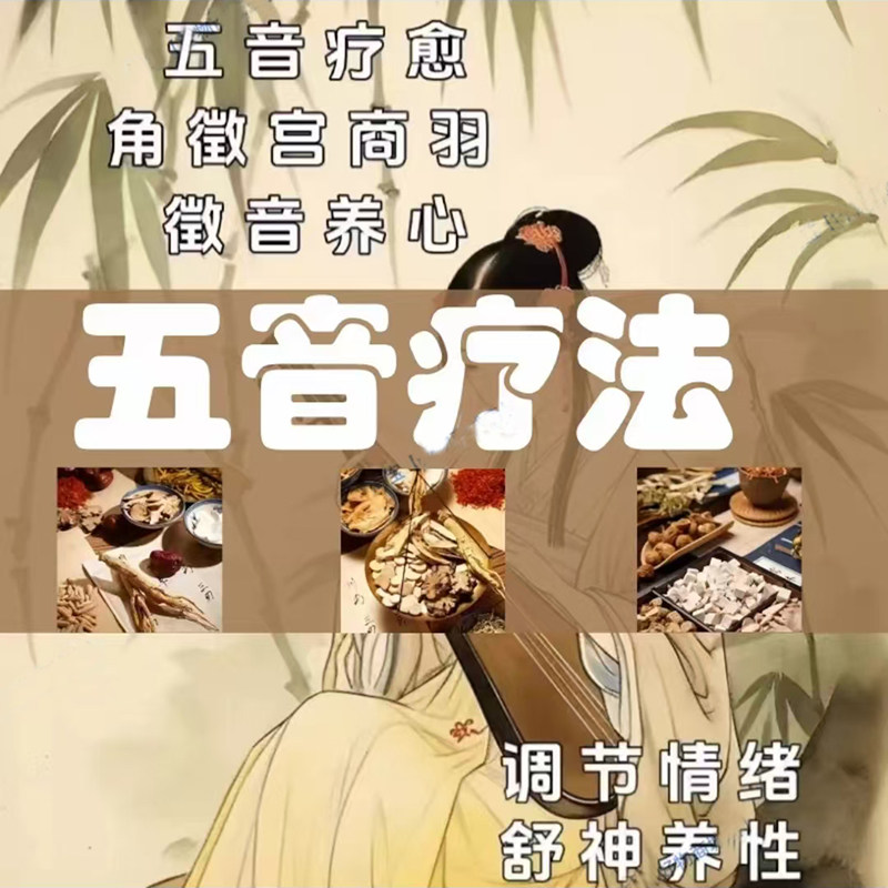 国乐五音疗愈U盘无损纯轻音乐茶室静心养生古琴古筝琵琶陶笛车载
