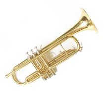 Peppers trumpet instrument Shanghai pipe musicians plant thyme yellow trumpet M4015JY AJY M4015
