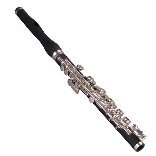 Weinuo vpc-e200s plays piccolo professionally