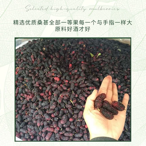 Сладкое вино самовидное вино вино вино из чистого сырого, ферментированное сладкое -тип миссис с низким фруктовым вином, 5 фунтов баррелей, тутовидная сухой красный цвет