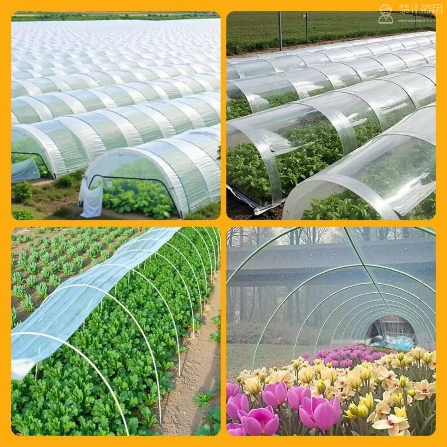 搭棚子支架 农用大棚菜园搭棚支架玻璃纤维杆菜棚保温实心扶苗支,淘宝优惠券,粉丝福利购,淘宝优惠卷