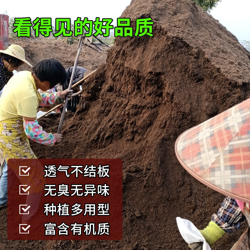 泥炭土种植土工程园林腐殖基质土绿化营养土种花土壤改良花园回填