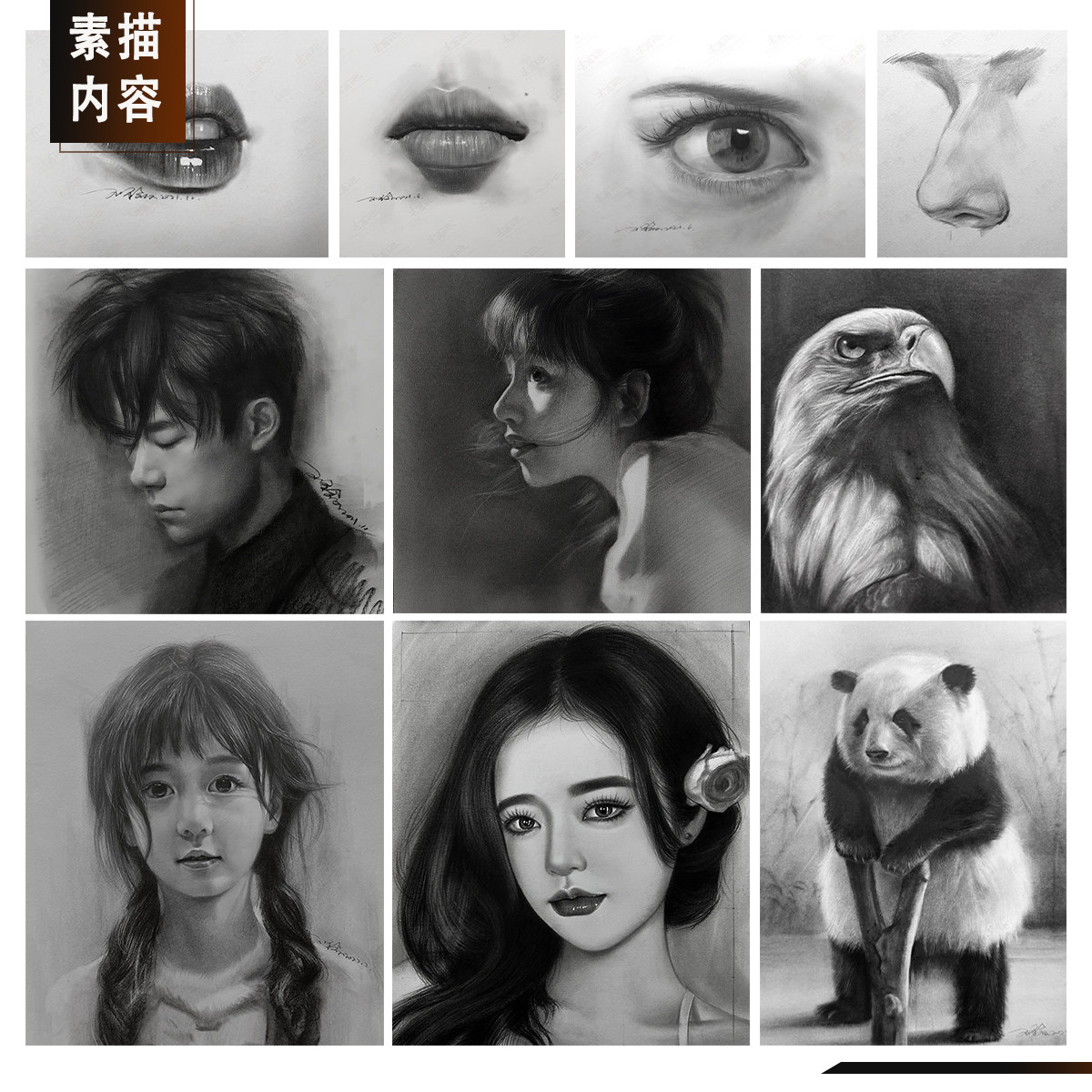 零基础网课素描丙烯彩铅水彩视频教程录播课长期有效(含点评)