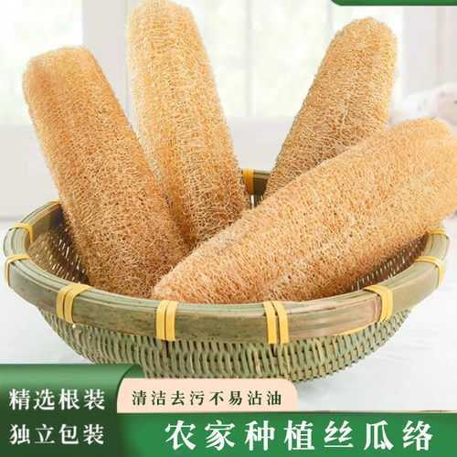 丝瓜络洗碗丝瓜洗碗刷锅用干丝瓜不易沾油厨房清洁农家干丝瓜络瓤 - 图0