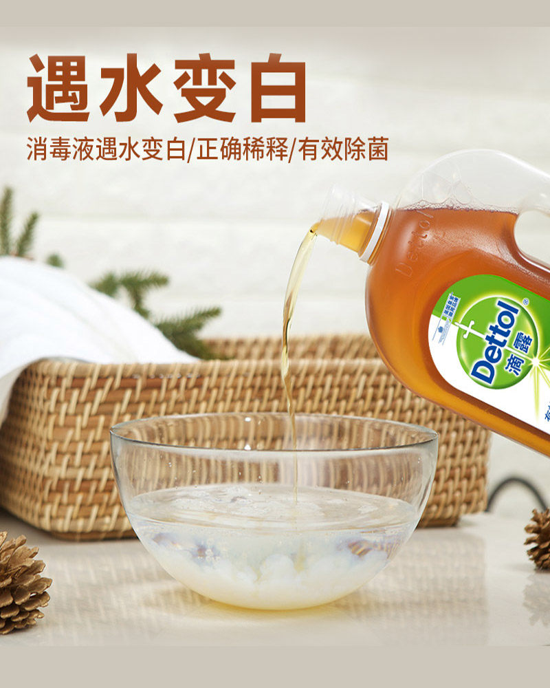 滴露850ml 天仁信诚居家日用消毒液