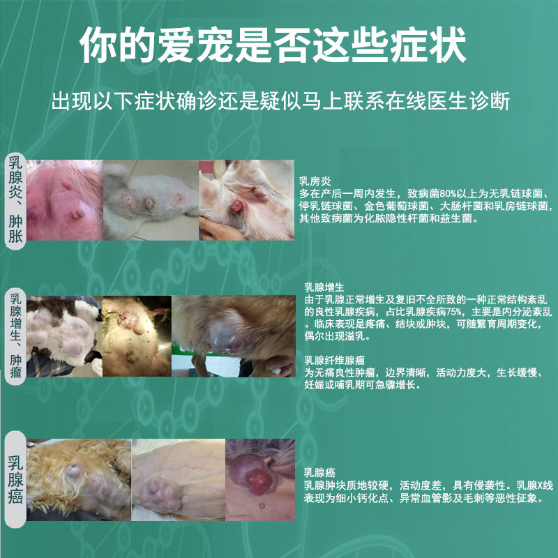 乳癖消公英散宠物狗狗猫咪乳腺炎增生肿块胀癌肿平乳腺瘤结节药