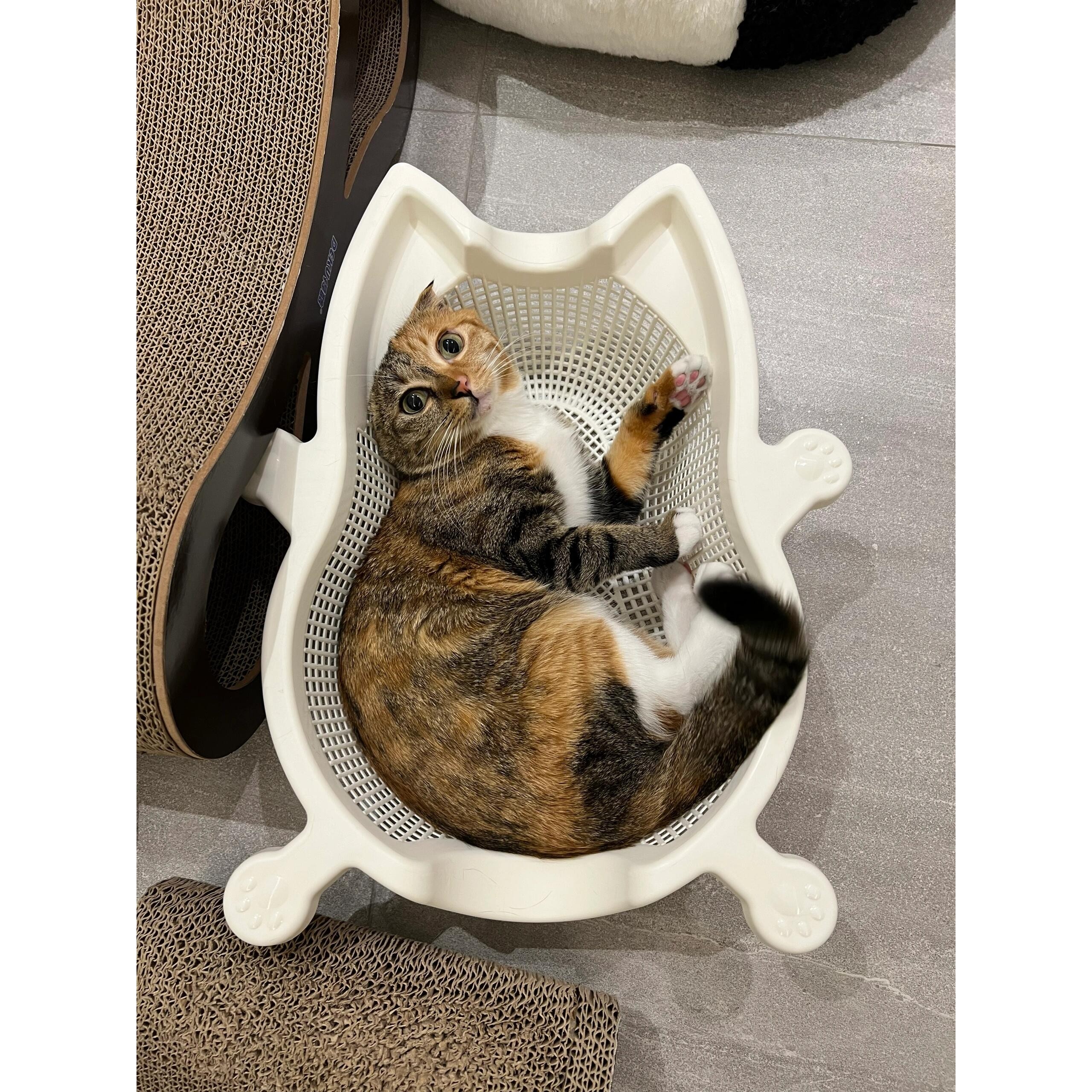 菜篮子猫窝夏季透气凉爽降温猫床加厚PP舒适耐抓垫子可水洗宠物窝,淘宝优惠券,粉丝福利购,淘宝优惠卷