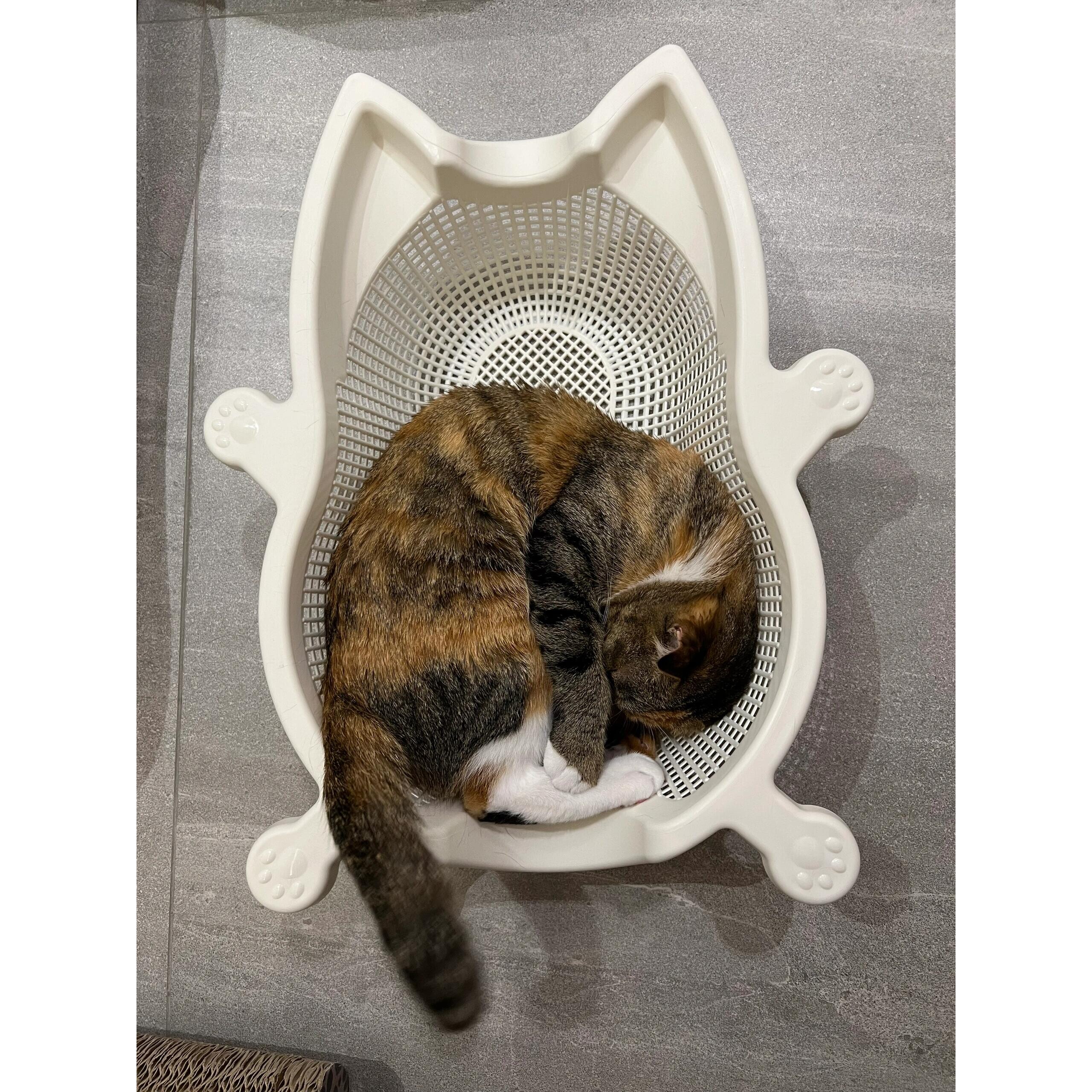 菜篮子猫窝夏季透气凉爽降温猫床加厚PP舒适耐抓垫子可水洗宠物窝,淘宝优惠券,粉丝福利购,淘宝优惠卷