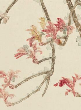 :1张大千W 梨花山雀图工笔花鸟国画禅意简约中国风装饰画临摹素材