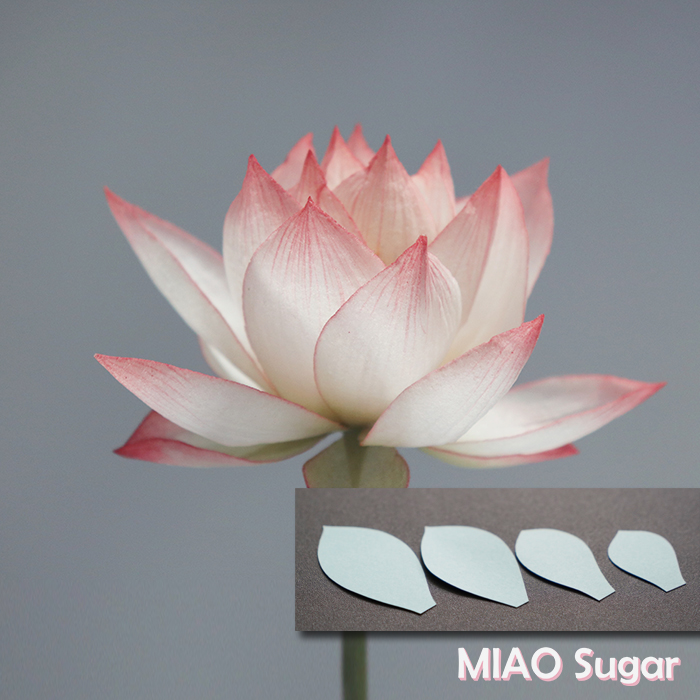 【喵糖】荷花花瓣纸型模板花瓣模型阿苗独家手工纸花diy模板包邮 - 图0
