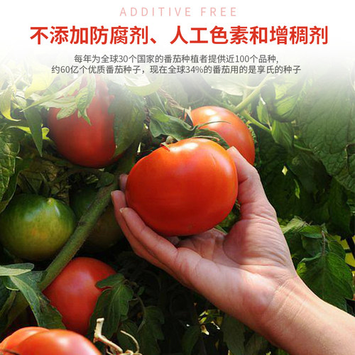 亨氏番茄酱9g番茄酱小包家用番茄沙司小包装正品薯条汉堡炸鸡披萨 - 图3