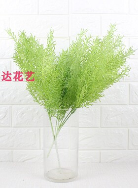 蕨叶文竹墙壁垂吊文竹仿真绿植