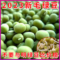2023 new gross green beans 5 catties Shandong coarse grain edible bulky green bean soup can sprout farmhouse to grow large green bean