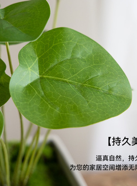 仿真绿植物盆栽家居装饰轻奢商用