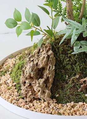 仿真树南天竹百合竹火山石落地造景植物装饰摆件地貌组合微景观