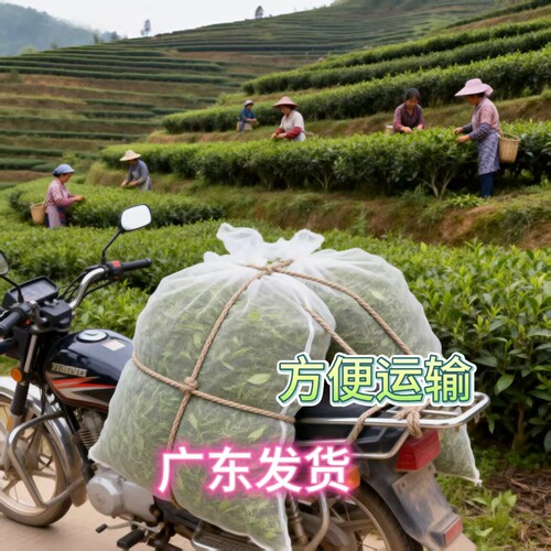 尼龙纱网袋茶青网袋装茶叶摘茶专用采茶机大号鲜芽加厚透气防露水 - 图2