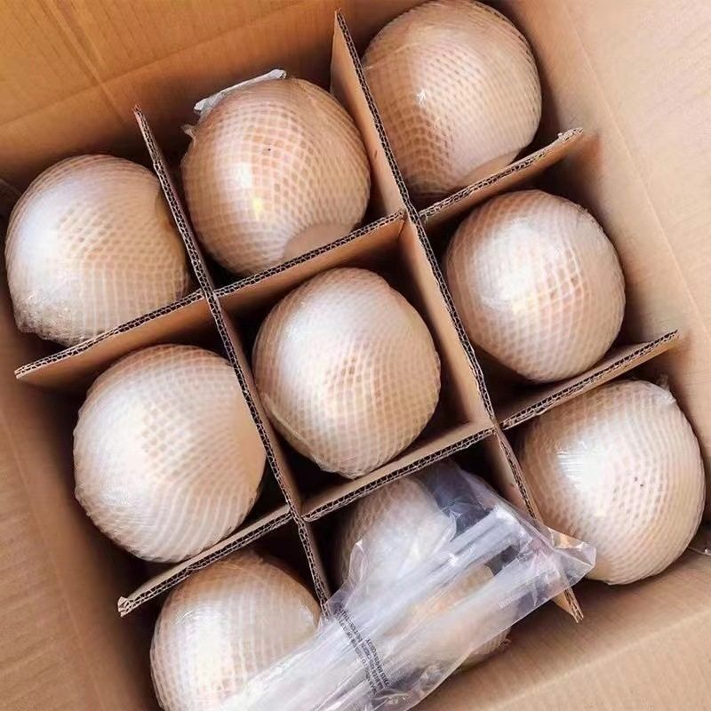海南椰青新鲜椰子9个装当季孕妇水果椰香皇去皮香水椰子整箱包邮,淘宝优惠券,粉丝福利购,淘宝优惠卷