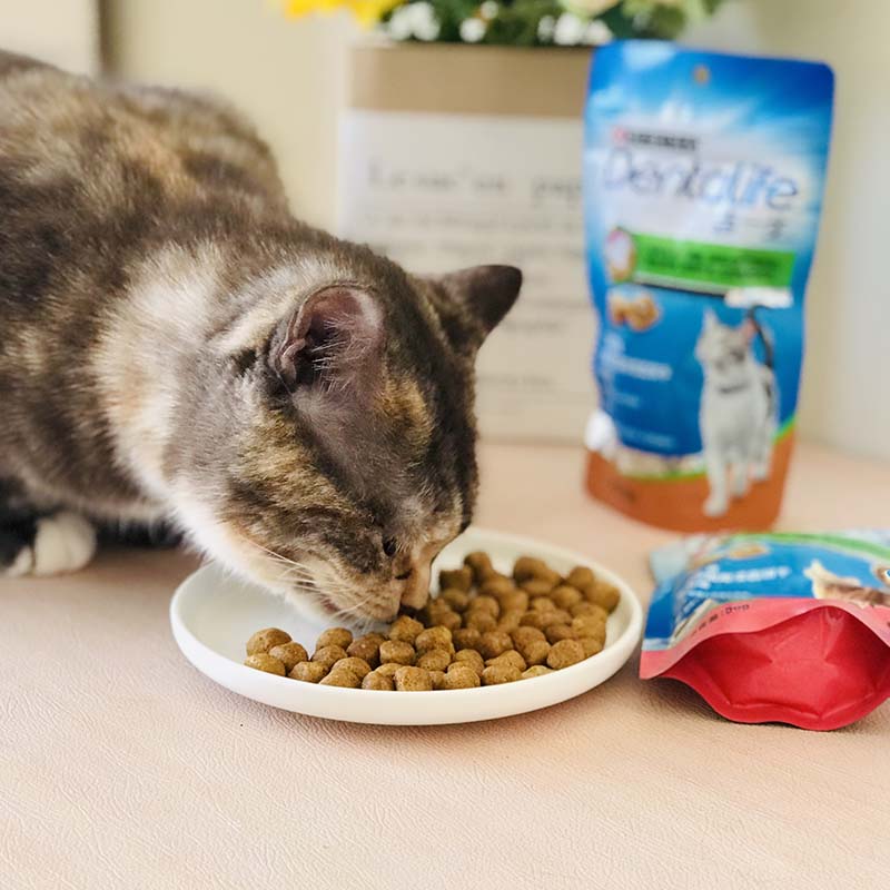 Dentalife齿一生猫饼干猫咪零食鸡肉三文鱼口味50g - 图1