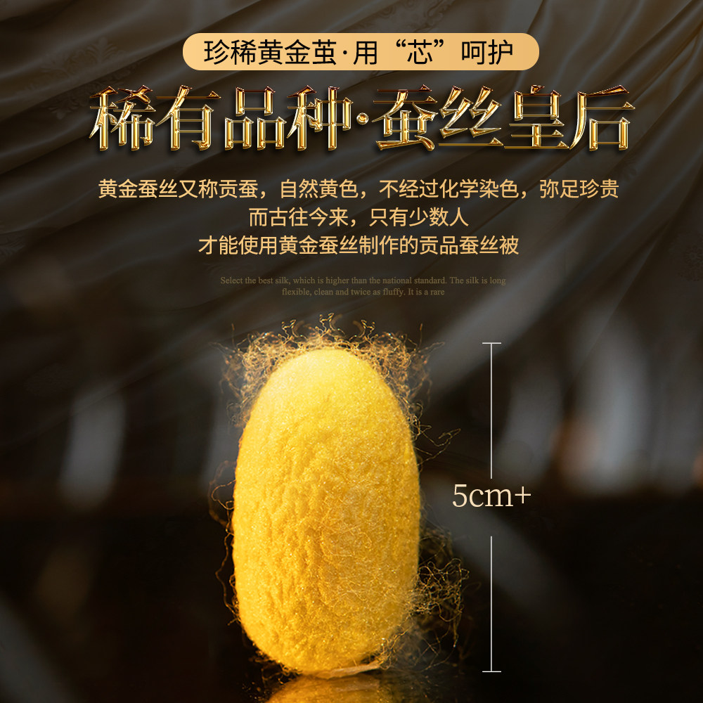 出口德国黄金丝蚕丝被芯全真丝100桑蚕丝春秋被夏凉被四季冬被子,淘宝优惠券,粉丝福利购,淘宝优惠卷