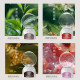 Inverted Aromatherapy Air Freshener Indoor Bedroom Long Lasting