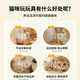 Cat hunting blanket self-pleasure relief toy carousel
