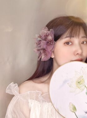 2026新款小众高级感镶钻发夹